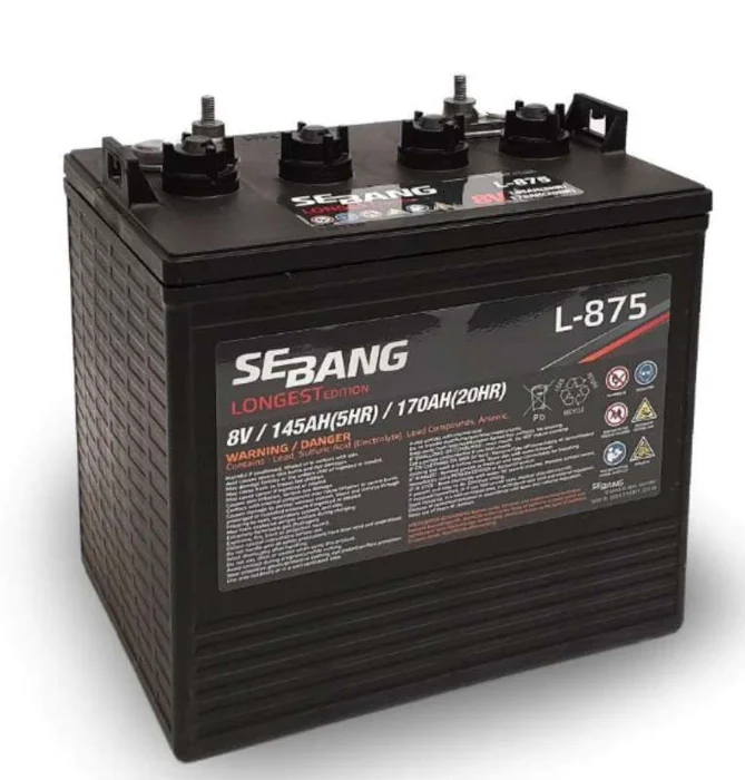 Golf Cart (Longest Series) — SEBANG battery